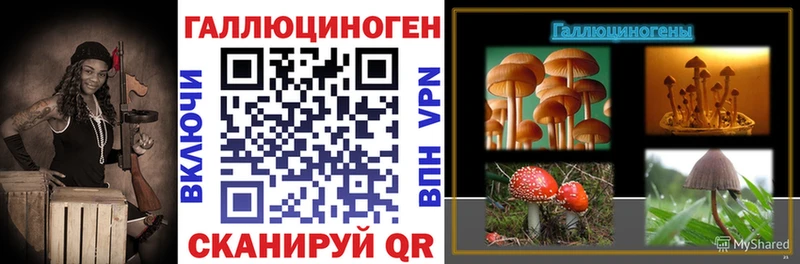 Псилоцибиновые грибы прущие грибы  кракен   Полтавская  магазин   